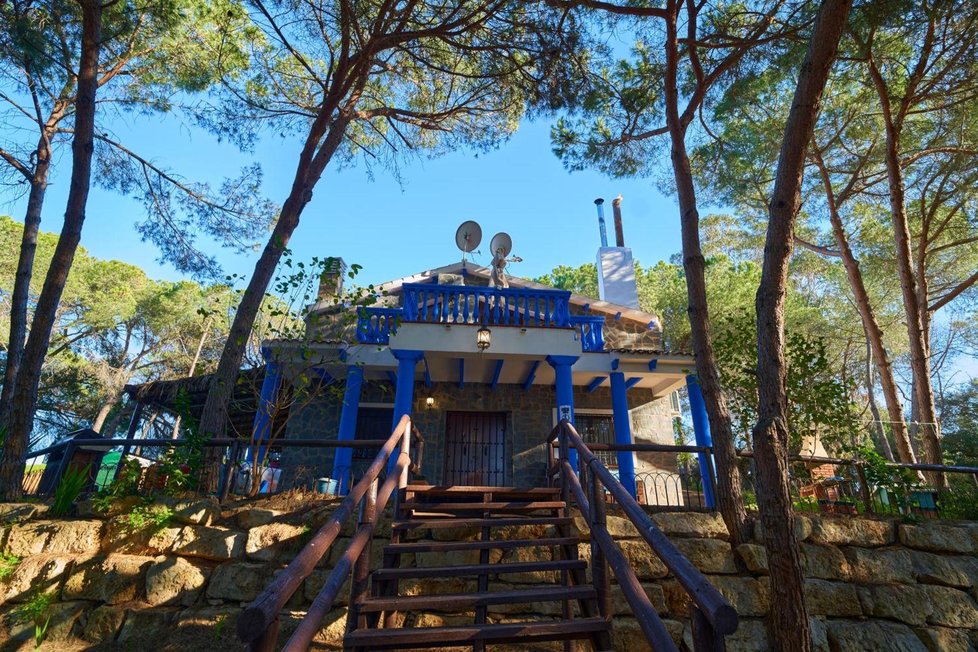 Zaluay -
