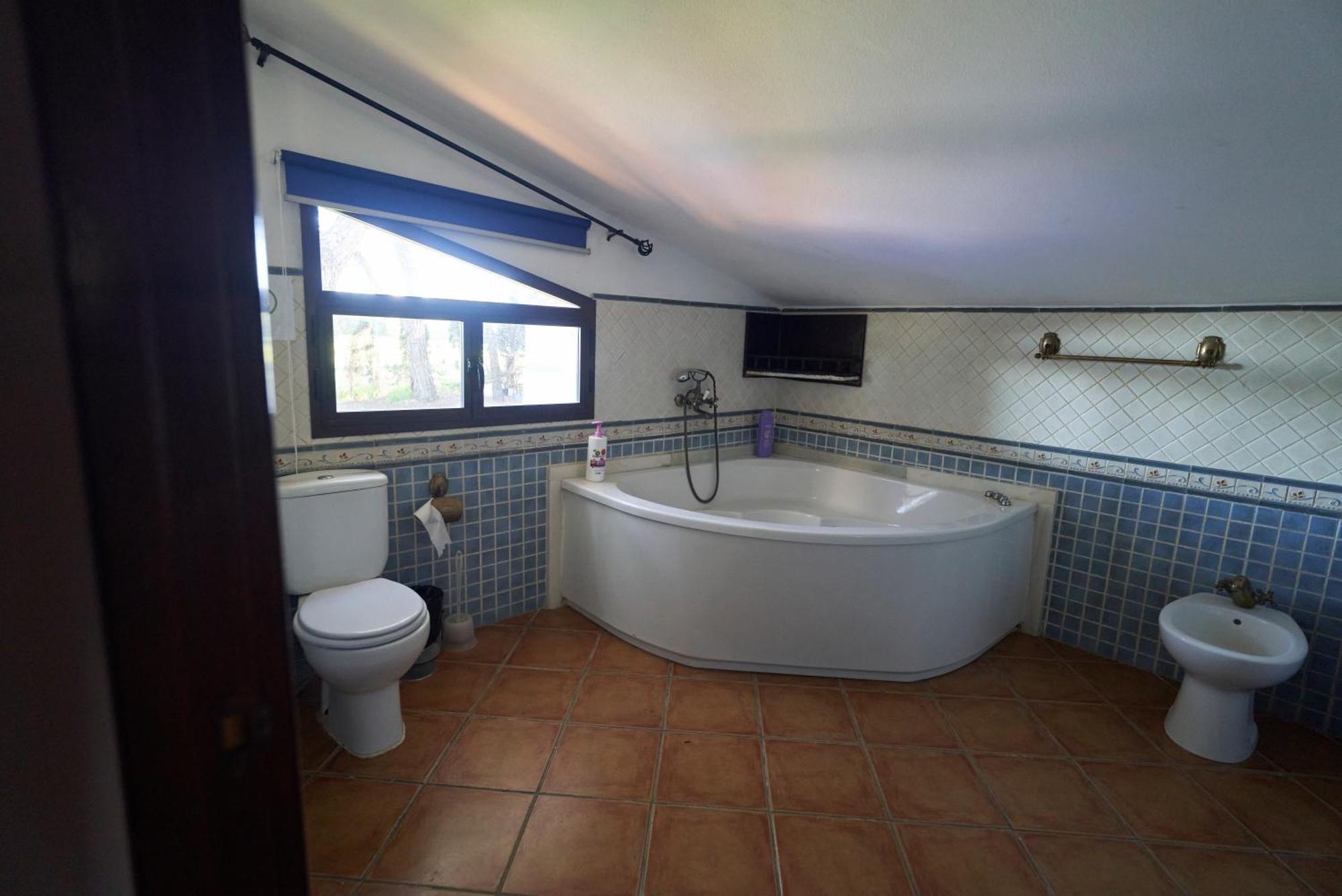 Zaluay -