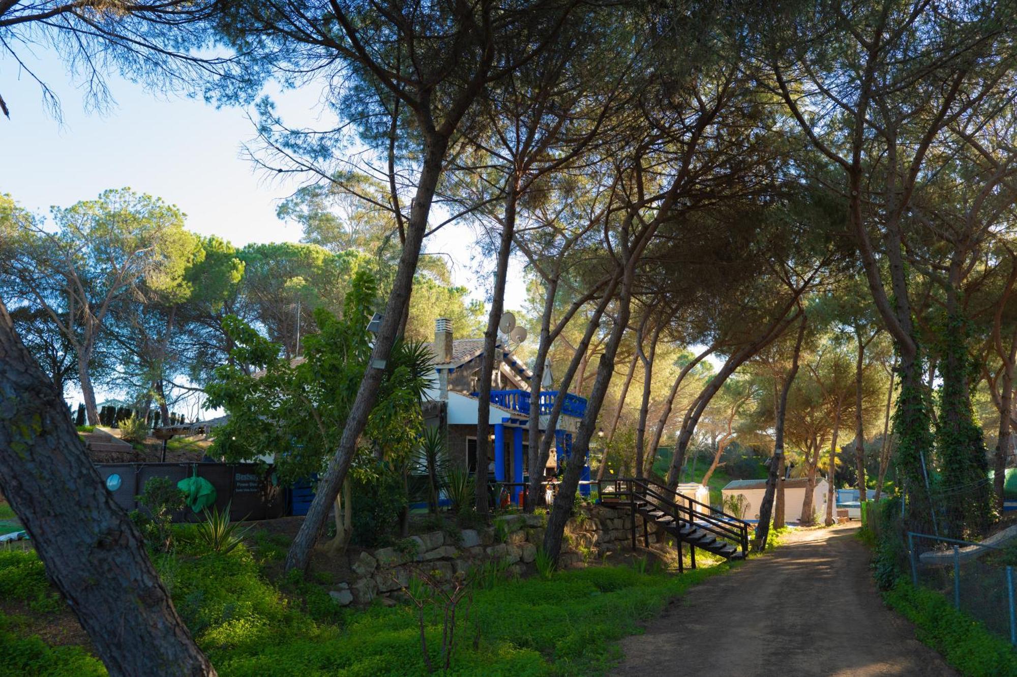 Zaluay -